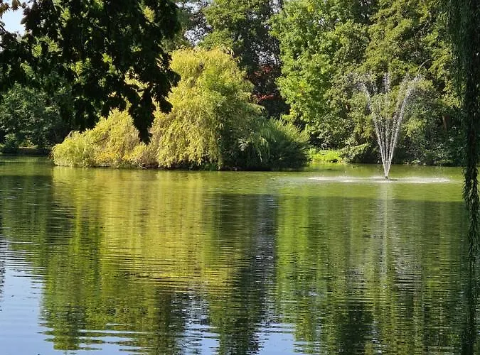 Fe Wo Nele * Alsfeld